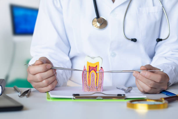 Best Emergency Dental Care for Broken or Chipped Teeth in Lomira, WI